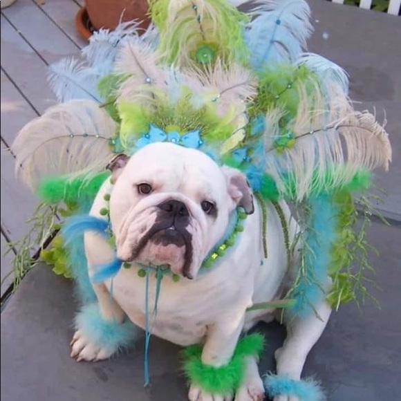 Meet your Posher, Jessi - Picture 9 of 13